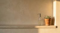 Minimalist bathroom shelf with soap dispenser and potted succulent plant in warm natural light, ready for home decor and wellness design projects.