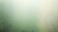 Soft gradient background featuring ethereal mint green and cream tones blending into atmospheric misty texture, suitable for modern minimalist design projects.