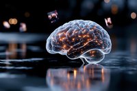Glowing translucent brain with neural connections floating above reflective surface against dark background with bokeh lights, representing artificial intelligence and consciousness.