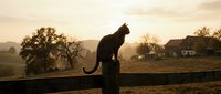 Silhouette of a cat sitting on a wooden fence post at golden sunset, with misty rural countryside and farmhouse in the background.