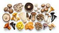 Assorted fresh mushroom varieties including shiitake, oyster, chanterelle, and enoki arranged on white background for culinary and cooking concepts.