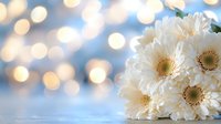 White gerbera daisies bouquet against soft blue bokeh background with golden light spots, creating dreamy romantic atmosphere for wedding and celebration designs.
