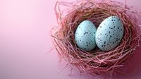Speckled blue eggs in natural twigs nest against soft pink background, creating gentle spring composition for seasonal and Easter designs.