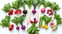 Fresh colorful radishes with green leaves arranged on white background. Organic root vegetables for healthy cooking and farm-to-table cuisine.