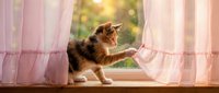 Adorable calico kitten playing with pink curtains on sunny windowsill. Playful domestic cat in bright home interior with soft natural lighting.