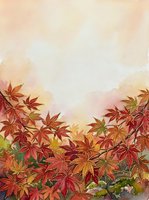 Autumn maple leaves in vibrant red, orange, and yellow tones create a seasonal landscape with soft watercolor sky, perfect for fall designs and seasonal marketing materials.