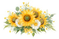 Bright sunflowers and white daisies arrangement with green leaves and small yellow wildflowers on white background, watercolor style floral composition isolated for design use.