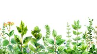Watercolor meadow plants and wildflowers on white background, botanical green leaves and yellow flowers arrangement, isolated design element.