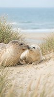 Two seals resting on sandy beach surrounded by coastal dune grass with ocean waves in soft focus background. Wildlife and nature scene suitable for travel, environmental, and animal-themed projects.