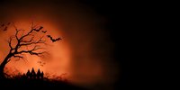 Spooky Halloween panoramic scene with haunted castle silhouette against orange moon, bare tree branches and flying bats in dark atmospheric night sky.