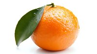 Fresh ripe orange mandarin with green leaf and water drops isolated on white background, ready for design use in food packaging and advertising.