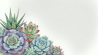 Watercolor succulent plants arrangement with echeveria and aloe varieties in pastel green purple tones on neutral background for botanical design projects.