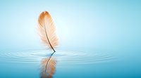 Delicate peach feather floating on calm water surface with ripples, reflecting in crystal clear blue water. Serene minimalist nature composition.