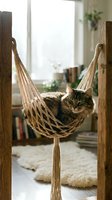 Tabby cat relaxing in a woven macramé hammock suspended between wooden posts in a bright, sunlit room with natural light from window and home decor.
