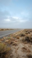 Straight asphalt road cutting through arid desert landscape with sparse vegetation, dry sandy terrain, and overcast sky. Suitable for travel, journey, and adventure concepts.