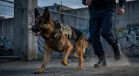 Police officer with German Shepherd K9 dog patrolling urban area with graffiti walls. Law enforcement canine unit working together for public safety and security.
