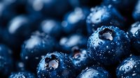 Fresh ripe blueberries with water drops macro close up view. Natural organic berries background with selective focus and bokeh effect.