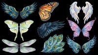 Colorful wings clipart set with butterfly, angel, fairy, dragonfly, bird, and peacock feather designs, isolated on transparent background for stickers, t-shirt design, and print on demand.