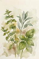 Watercolor painting of fresh green herbs and leaves with soft botanical illustration style on textured paper background for culinary and garden themes.