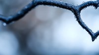 Frozen tree branch with natural heart shape formed by frost and ice crystals against blurred winter background in cool blue tones, creating romantic mood.