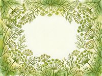 Botanical frame with delicate fennel or dill flowers in soft green and yellow watercolor tones, featuring intricate line work. Isolated design element suitable for invitations, greeting cards, and decorative backgrounds.