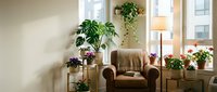 Cozy living room corner with brown leather armchair surrounded by lush green houseplants on wooden stands creating peaceful indoor garden atmosphere.