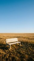 White wooden bench sitting alone in vast golden grassland under clear blue sky, evoking solitude and contemplation in nature. Suitable for editorial, wellness, and environmental design projects.