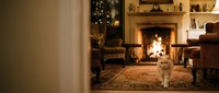 Cozy living room interior with fireplace, Christmas tree, comfortable armchairs and small dog creating warm holiday atmosphere for home decor and seasonal content.