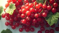 Fresh ripe red currant berries on branch with green leaves close up. Bright natural organic fruit background for healthy food packaging design.