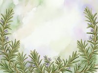Watercolor herb garden border with rosemary sprigs and lavender flowers on soft pastel background, ideal for wellness, cooking, and botanical design projects.