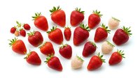 Fresh ripe strawberries and white varieties arranged on white background, isolated berries ready for food packaging, recipe blogs, and culinary design projects.