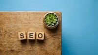 SEO wooden letter blocks on rustic wood surface with small green succulent plant for digital marketing and search engine optimization concepts.