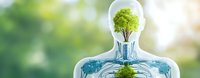 Green tree growing inside glass human silhouette with water on blurred natural background representing environmental consciousness and sustainability.