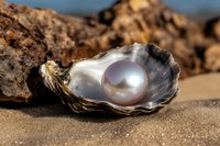 Single pearl in opened oyster shell on sandy beach, natural sunlight highlighting iridescent mother of pearl interior and round cultured gem.