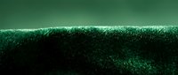 Close-up of lush green moss or grass texture with water droplets, suitable for nature backgrounds, environmental designs, and organic material concepts.