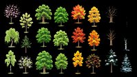 Isolated tree collection featuring various species and seasonal stages on transparent background, ready for clipart, t-shirt design, print-on-demand products, stickers, and sublimation projects.