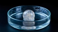 Transparent laboratory petri dish with clear spherical gel capsule or biomedical sample for scientific research and pharmaceutical development studies.