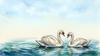 Two white swans forming a heart shape with their necks on calm blue water. Romantic wildlife scene suitable for wedding invitations, greeting cards, and love-themed designs.