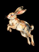 Watercolor rabbit jumping in mid-air with tan and brown fur, isolated on transparent background. Ready for t-shirt designs, stickers, clipart, print-on-demand products, and sublimation projects.