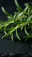 Fresh rosemary sprigs with needle-like leaves arranged on dark surface for culinary and cooking content.
