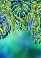 Tropical foliage arrangement with monstera and fern leaves hanging over watercolor gradient background in shades of turquoise and blue, isolated design element for botanical projects.