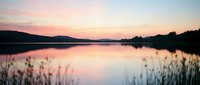 Serene lake at sunset with pink and purple sky reflecting on calm water, surrounded by silhouetted trees and marsh grasses along shoreline.