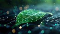 Green leaf with morning dew drops on dark background with bokeh lights and digital network connections, representing nature and technology fusion.