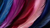 Vibrant feathers in blue, purple, pink and red hues create dramatic texture and pattern against dark background, suitable for luxury design and creative projects.