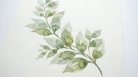 Watercolor botanical illustration of green leafy branch with delicate foliage on white isolated background, suitable for design projects, invitations, and decorative artwork.