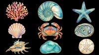 Colorful sea life collection featuring coral, nautilus shell, starfish, scallop, crab, abalone, spiky shell, cloud coral, and sand dollar isolated on transparent background. Ready for t-shirt designs, clipart, stickers, and print-on-demand products.