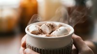 Steaming hot chocolate with marshmallows in white ceramic mug held by hands, cozy winter drink with cocoa powder dusting for seasonal beverage concepts.