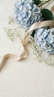Soft blue hydrangea flowers with cream ribbon and baby's breath on textured white background for wedding invitations and romantic spring decorations.