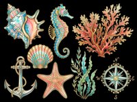Colorful hand-drawn ocean elements including seahorse, starfish, shell, coral, anchor and compass rose isolated on transparent background. Ready for t-shirt design, clipart, stickers and print-on-demand products.