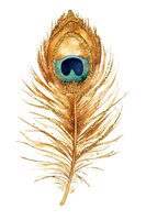 Golden peacock feather with deep blue eye spot isolated on white background, ready for design projects, clipart, and decorative applications.